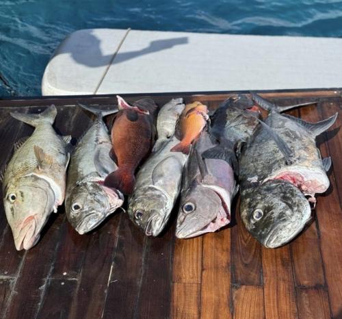 Screenshot-2023-12-21-at-4.45.29 pm-Large